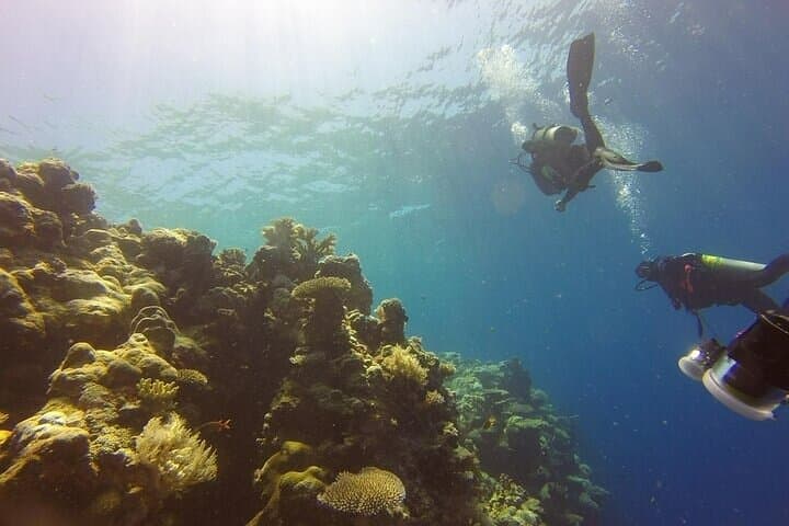 Scuba Diving in Pasikudah: Guided Reef Dives & Turtle Encounters photo 2