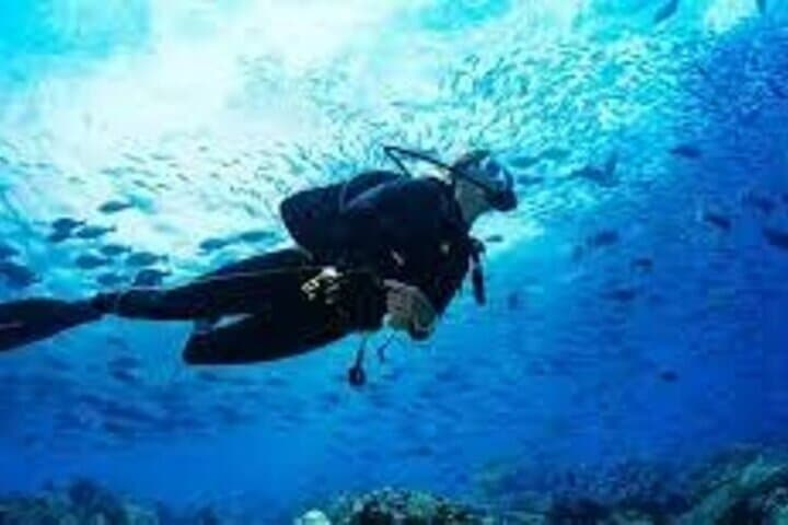 Scuba Diving in Pasikudah: Guided Reef Dives & Turtle Encounters photo 3