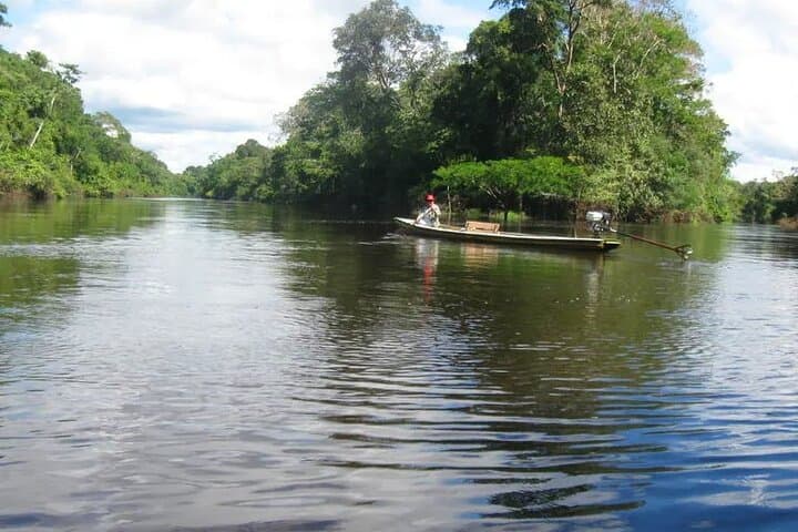 4-Day Amazon Expedition from Iquitos: Dolphins, Piranha Fishing & Jungle Lodge photo 4