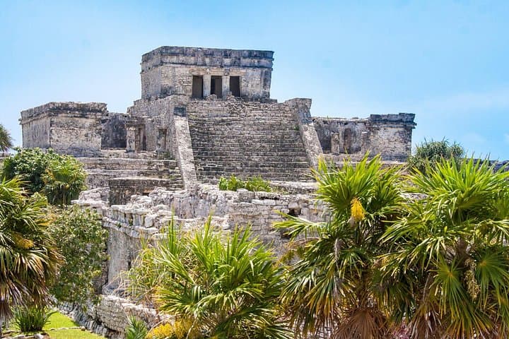 Tulum & Akumal: Swim with Sea Turtles and Explore a Mayan Cenote photo 3