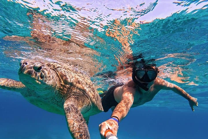 Tulum & Akumal: Swim with Sea Turtles and Explore a Mayan Cenote photo 5