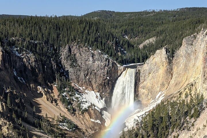 Yellowstone Lower Loop Private Tour — Old Faithful, Grand Canyon & Yellowstone Lake photo 6