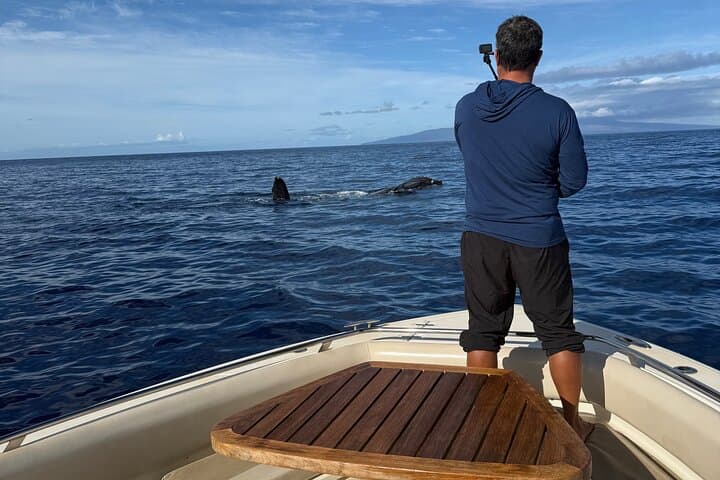 Private Maui Luxury Powerboat Charter from Maalaea Harbor photo 6