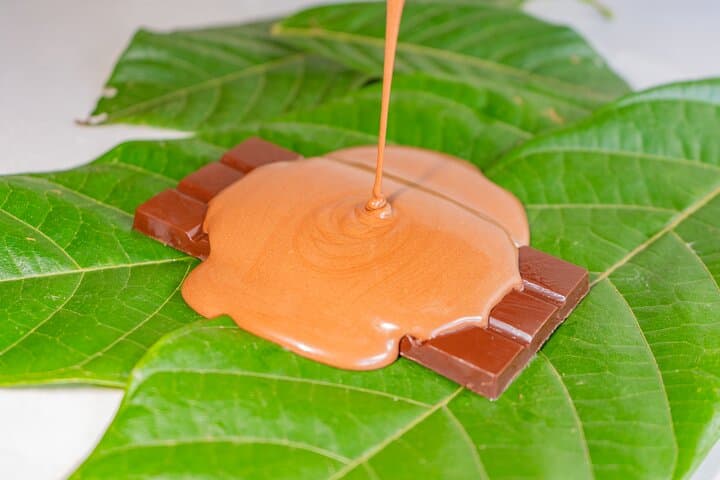 North Fields Coffee & Chocolate Tour — La Fortuna Farm Experience photo 6