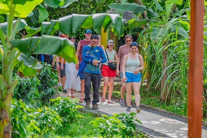 Hands-On Coffee & Chocolate Crafting Near Arenal Volcano photo 3
