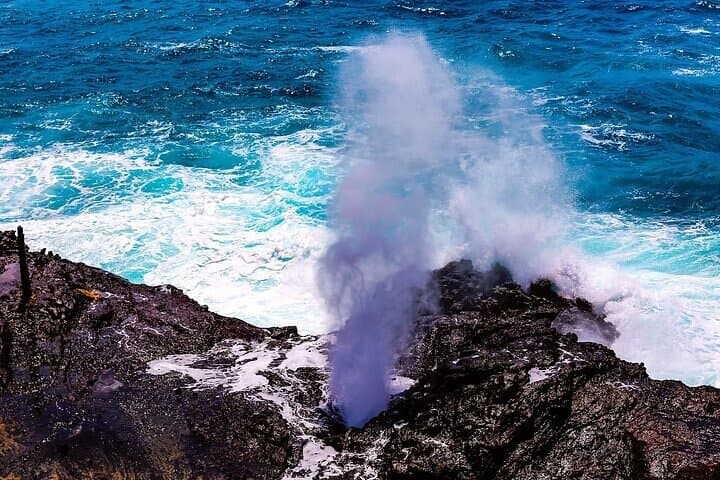 Circle Island Full-Day Tour of Oahu: Snorkel Turtle Town, North Shore & Diamond Head