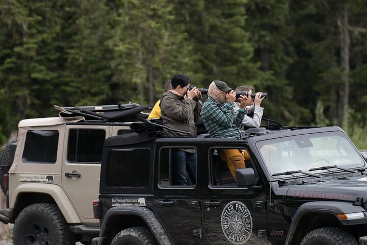 Bear Safari 4x4 Adventure in Whistler — Olympic Park Wildlife & Photo Tour photo 4