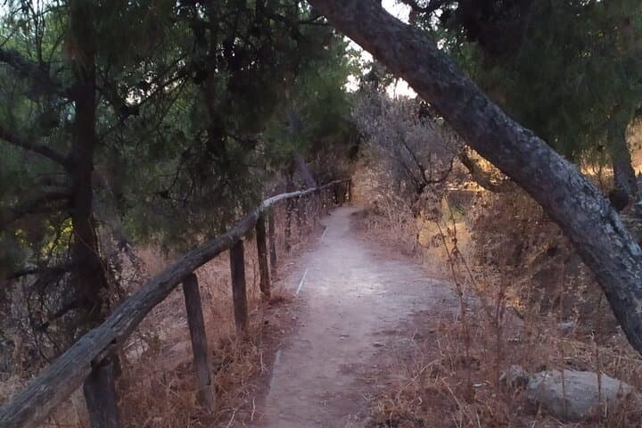 Sunrise on Lycabettus: Ultimate Athens Sunrise Hike photo 5