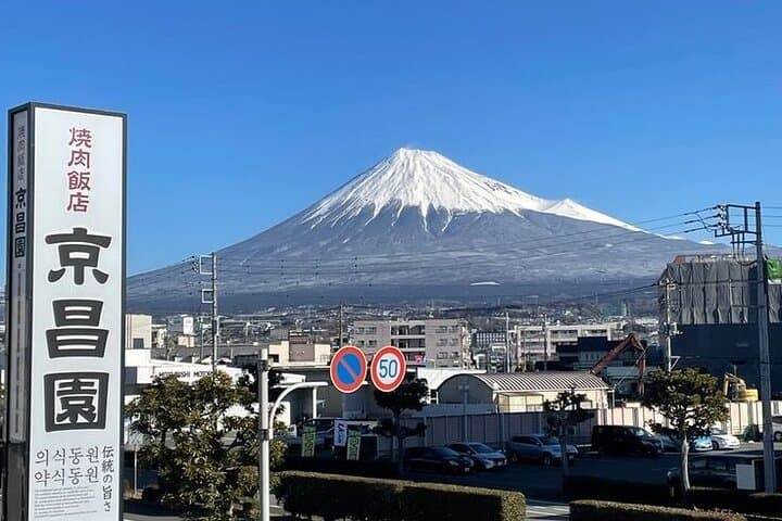 Tokyo to Mount Fuji Private Guided Experience — Custom Day Trips from Tokyo photo 3