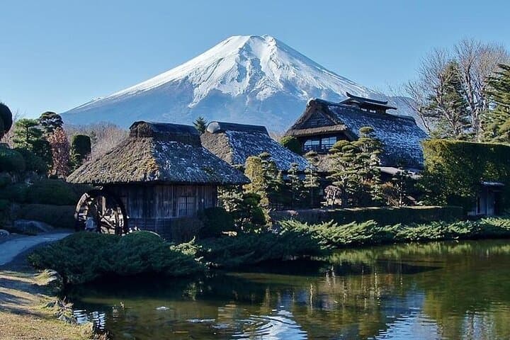 Tokyo to Mount Fuji Private Guided Experience — Custom Day Trips from Tokyo photo 4