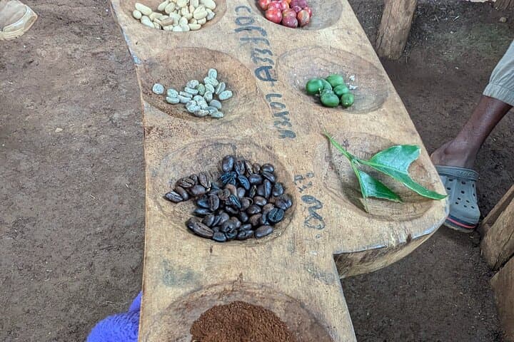 Moshi Private Car Experience: Customized Day Trips Around Kilimanjaro photo 3