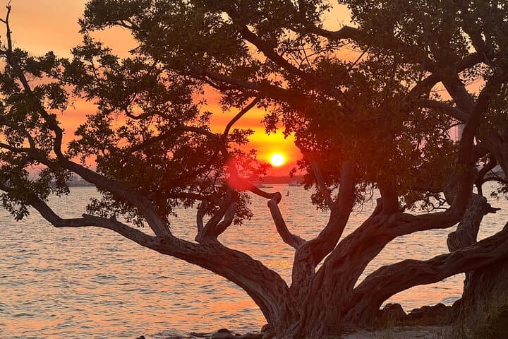 Private Miami Boat Tour: Sunset Cruise & Sandbar Swim in Biscayne Bay photo 6