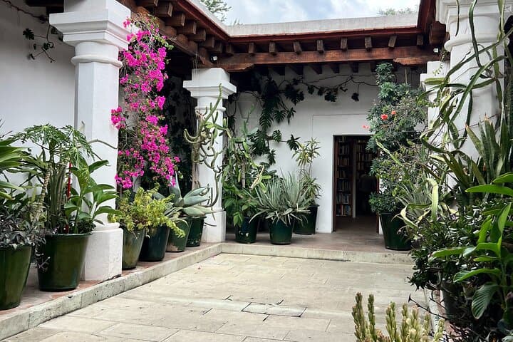Oaxaca Walking Tour: Culture, Food & Local Connections photo 2