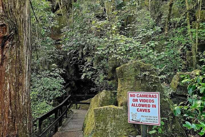 Haruru Waterfalls & Kawiti Glow Worm Caves Tour — Bay of Islands Day Trip photo 3