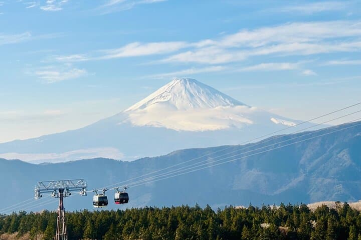 Full-Day Hakone Private Tour: Lake Ashi Cruise, Owakudani & Onsen from Tokyo