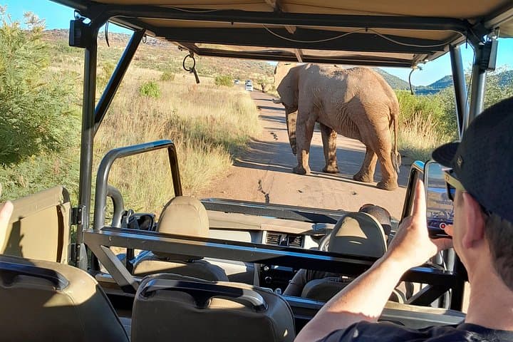 3-Day Kruger National Park Safari: Big Five Game Drives & Private Lodge photo 3