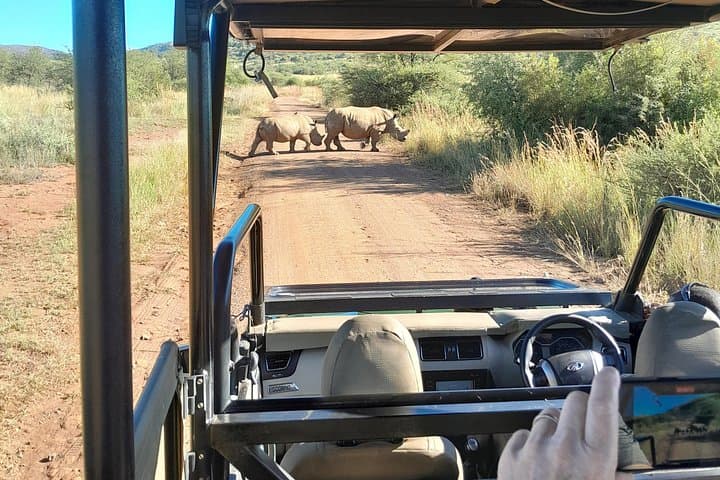 3-Day Kruger National Park Safari: Big Five Game Drives & Private Lodge photo 4
