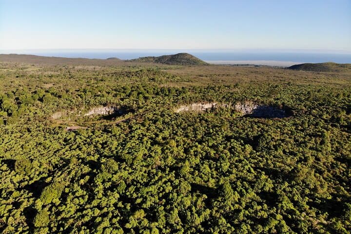 Galapagos Giant Tortoise Reserve & Los Gemelos Highlands Private Tour photo 6