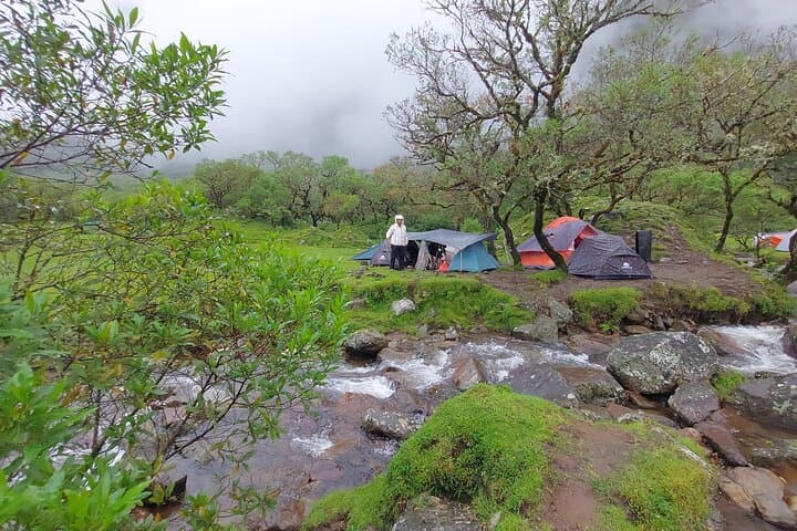 Trekking Lembah Lohe: 2-Day Guided Hike to Lake Tanralili & Lembah Lohe Valley
