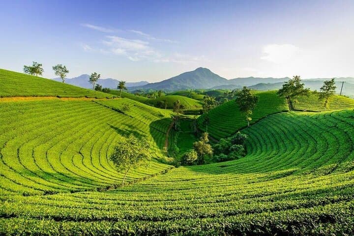 2-Day Darjeeling Private Tour from Kolkata: Tea Estates, Toy Train & Himalayan Sunrise photo 2