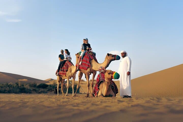Dubai Desert Camel Safari & Emirati Dinner: Sunset Dunes, Falconry, and Bedouin Camp photo 2