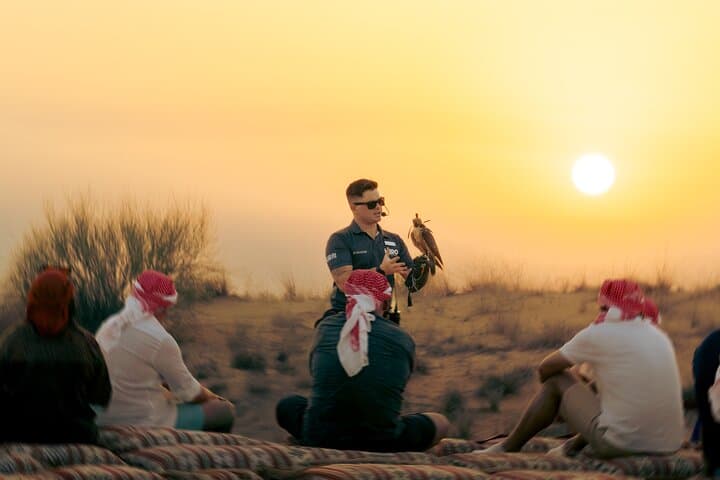 Dubai Desert Camel Safari & Emirati Dinner: Sunset Dunes, Falconry, and Bedouin Camp photo 3