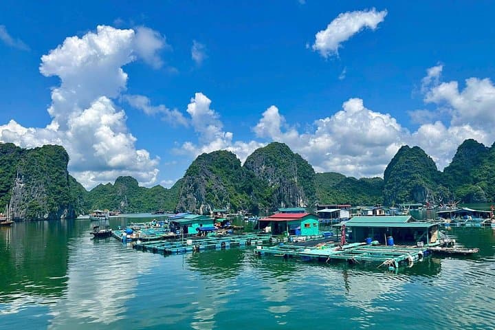 2-Day Cat Ba & Lan Ha Bay Adventure: Trek, Kayak & Bioluminescent Night photo 2