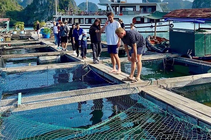 2-Day Cat Ba & Lan Ha Bay Adventure: Trek, Kayak & Bioluminescent Night photo 3