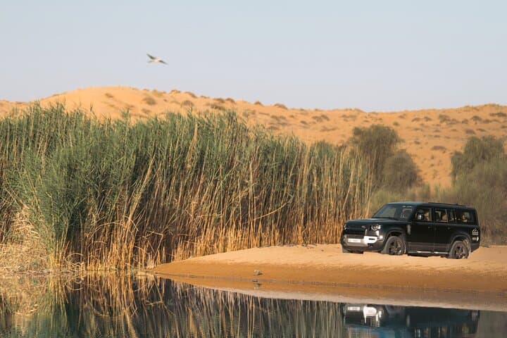 Dubai Desert Conservation Drive & Platinum Breakfast at Al Maha