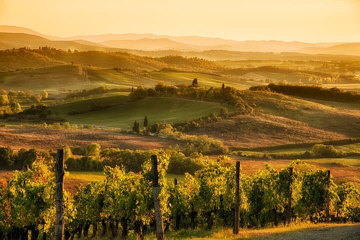 Half-Day Chianti Wine Tour from Florence to Monteriggioni & San Gimignano photo 2