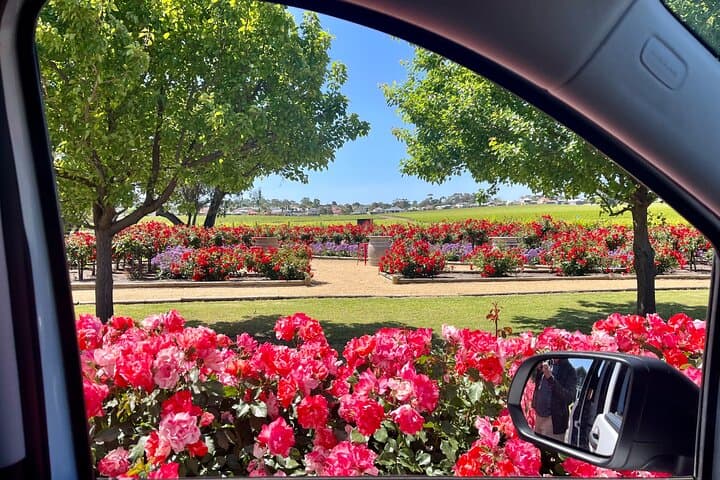 McLaren Vale Small-Group Wine Tour: d'Arenberg Cube & Gourmet Vineyard Lunch photo 6