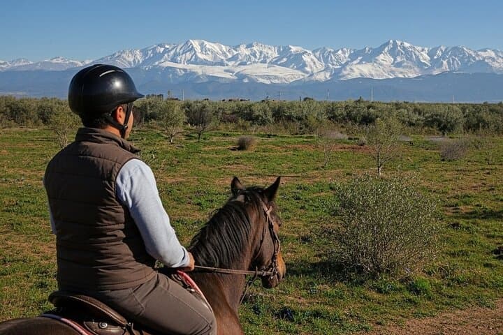 Exclusive Horseback Journey Through Marrakech Palmeraie Oasis photo 5