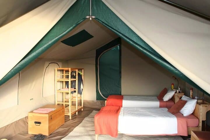 Perfect 2-Day Tanzania Safari: Tarangire & Ngorongoro Crater Wildlife Express photo 3