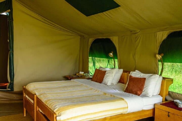 Perfect 2-Day Tanzania Safari: Tarangire & Ngorongoro Crater Wildlife Express photo 5