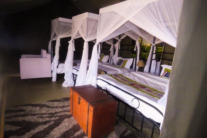 Perfect 2-Day Tanzania Safari: Tarangire & Ngorongoro Crater Wildlife Express photo 6