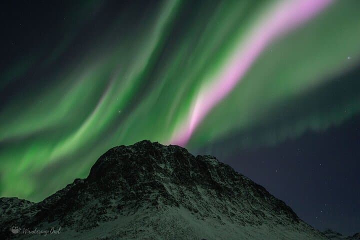 Express Aurora Hunt Near Tromsø — Cruise Ship Pickup & Midnight Return