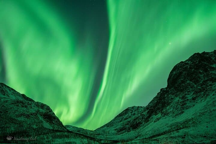 Express Aurora Hunt Near Tromsø — Cruise Ship Pickup & Midnight Return photo 3