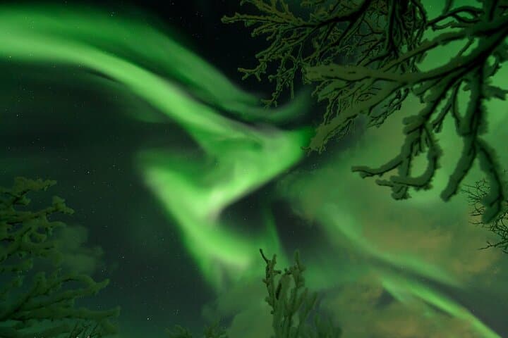 Express Aurora Hunt Near Tromsø — Cruise Ship Pickup & Midnight Return photo 6
