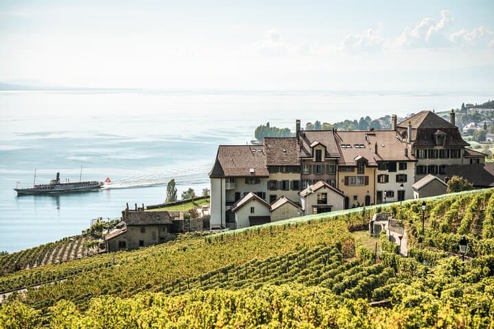 Gruyères Cheese & Lavaux Wine Day Trip from Bern — Private Tour photo 5