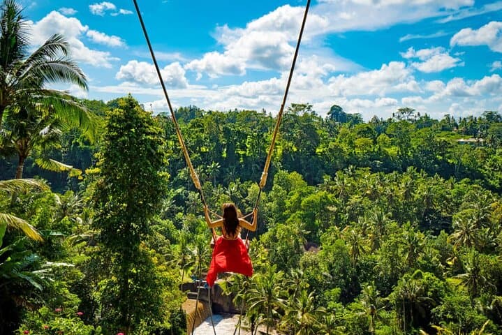 Ubud Waterfalls, Tirta Empul Water Temple & Tegalalang Rice Terraces Day Tour photo 2
