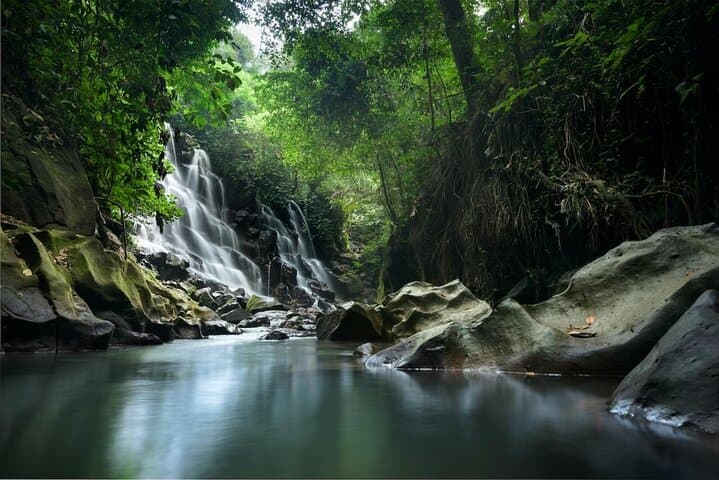 Ubud Waterfalls, Tirta Empul Water Temple & Tegalalang Rice Terraces Day Tour photo 4