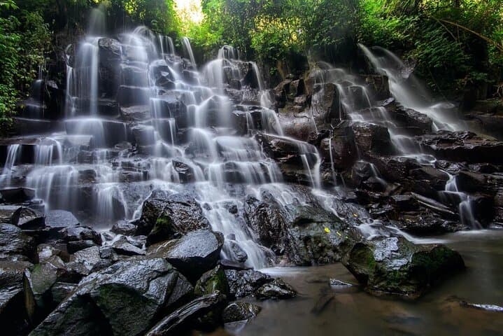 Ubud Waterfalls, Tirta Empul Water Temple & Tegalalang Rice Terraces Day Tour photo 5