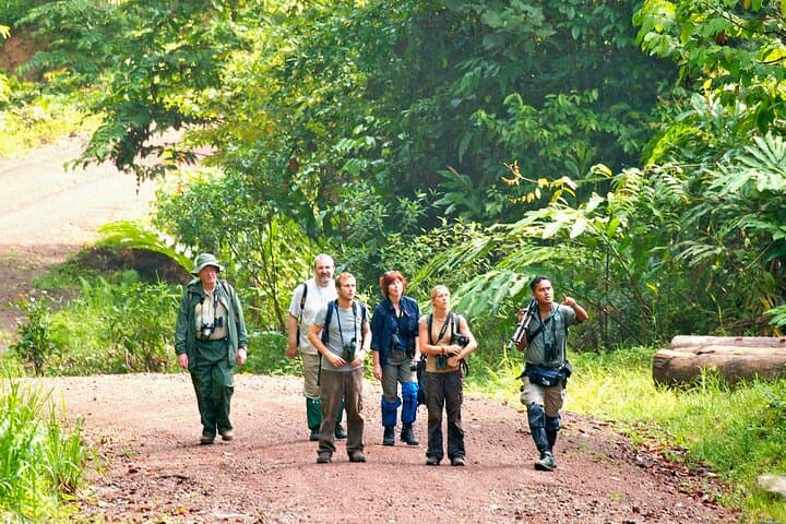 3-Day Danum Valley Lost World Expedition from Lahad Datu photo 2
