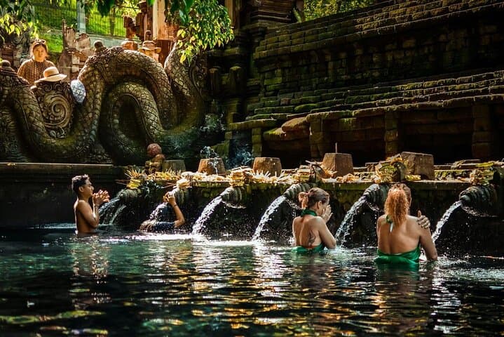 Ubud Waterfalls, Tirta Empul Water Temple & Tegalalang Rice Terraces Day Tour