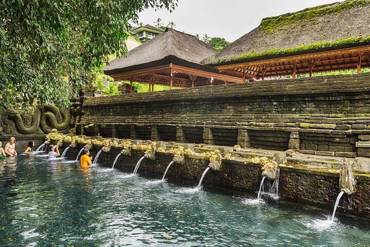 Ubud Waterfalls, Tirta Empul Water Temple & Tegalalang Rice Terraces Day Tour photo 6
