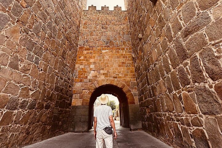 Segovia and Ávila Day Trip from Madrid: Small-Group Walking Tour photo 2