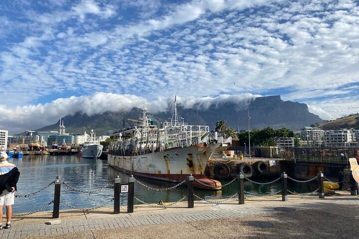 Cape Town Peninsula: Table Mountain, Penguins & Chapman's Peak in One Day