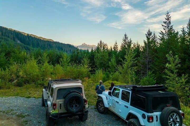 Bear Safari 4x4 Adventure in Whistler — Olympic Park Wildlife & Photo Tour photo 2