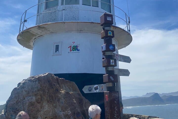 Cape Town Peninsula: Table Mountain, Penguins & Chapman's Peak in One Day photo 6