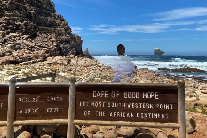 Cape Town Peninsula: Table Mountain, Penguins & Chapman's Peak in One Day photo 3
